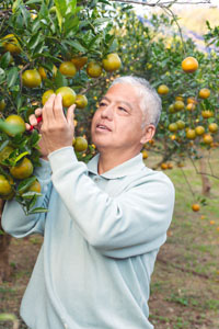 平良 幸也さん