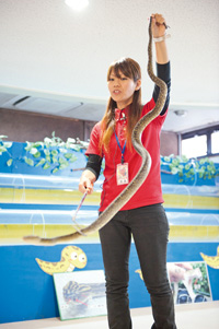 知念 己さん