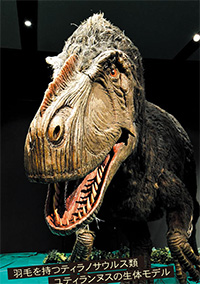 ティラノサウルスに会いに行こう