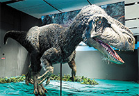 ティラノサウルスに会いに行こう