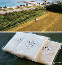 沖縄県麦生産組合