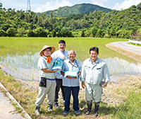 地域自慢の地域自慢の「あふそ米」