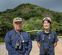 南へと渡るアカハラダカ