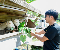 ベンビー農場長と仲間たち