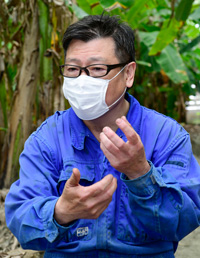 親子で栽培 銀バナナ ぐしちゃん銀バナナ農園