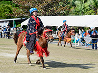 琉球競馬 ンマハラシー