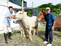 あおぞらニライカナイ牧場