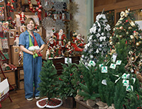Christmas Land