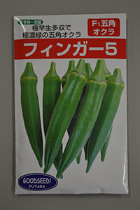 「フィンガー5」の島オクラ