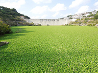 1502号の島ネタCHOSA班