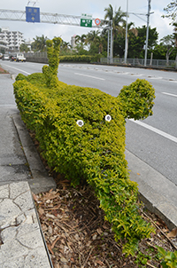 街路樹で植栽アート