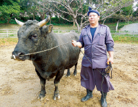 今、牛の名前が面白い