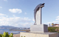 沖縄の海になぜクジラが多い