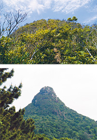 県内の登山家 ハイホーとは