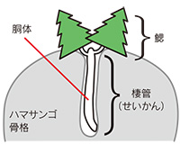 海のクリスマスツリー