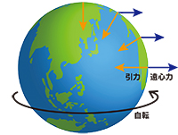 沖縄と本土で重さが変わる!?