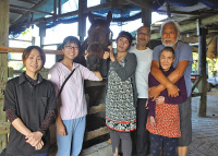 昔の沖縄の馬事情