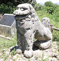 1897号の島ネタCHOSA班