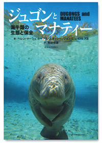 ジュゴンってどんな生き物？