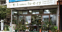 斑(ふ)入り植物の魅力とは? お店で聞いてみた