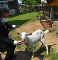 草刈り作業の頼もしい「助っ人」!?