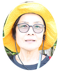 本部富士(ミラムイ)ってどんな山⁉