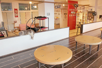 猫Ｃａｆｅ