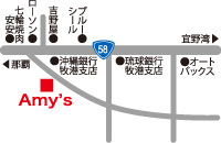 Amy's