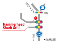 Hammerhead Shark Grill(ハンマーヘッドシャークグリル)