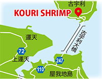 KOURI SHRIMP