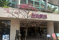 桜坂劇場:カフェさんご座