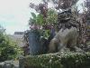 2014年5月22日<br>No.1519号<br>今は亡き両親。父のシーサーと母のサボテンの間にど根性ガジュマル