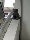 2014年6月19日<br>No.1523号<br>すべり台だぞー！