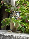 2014年6月26日<br>No.1524号<br>花いっぱいの季節