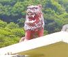 2015年10月08日<br>No.1590号<br>見晴らし最高、ヤッホー！
