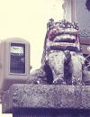 2018年04月05日<br>No.1719号<br>メーターの番しています！