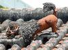 2020年05月06日<br>No.1826号<br>やーぐまいの運動不足にはストレッチがいいよ〜