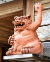 2021年10月14日<br>No.1901号<br>親戚のオジサンに一人はいるタイプ（笑）