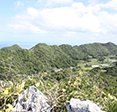 島ネタCHOSA班