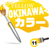 RED OKINAWAカラー 11