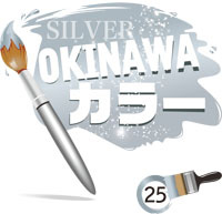 RED OKINAWAカラー　24